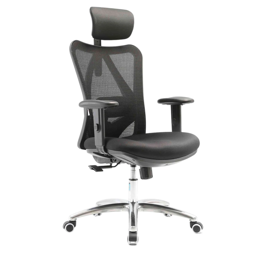 ErgoCore - SIHOO M18